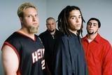 Nonpoint - Rock Liedtexte