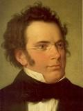 Franz Schubert - Classical Liedtexte