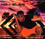 Bushman - Ska Liedtexte